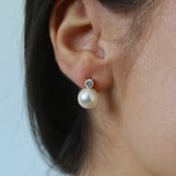 Lucia Pearl Earrings