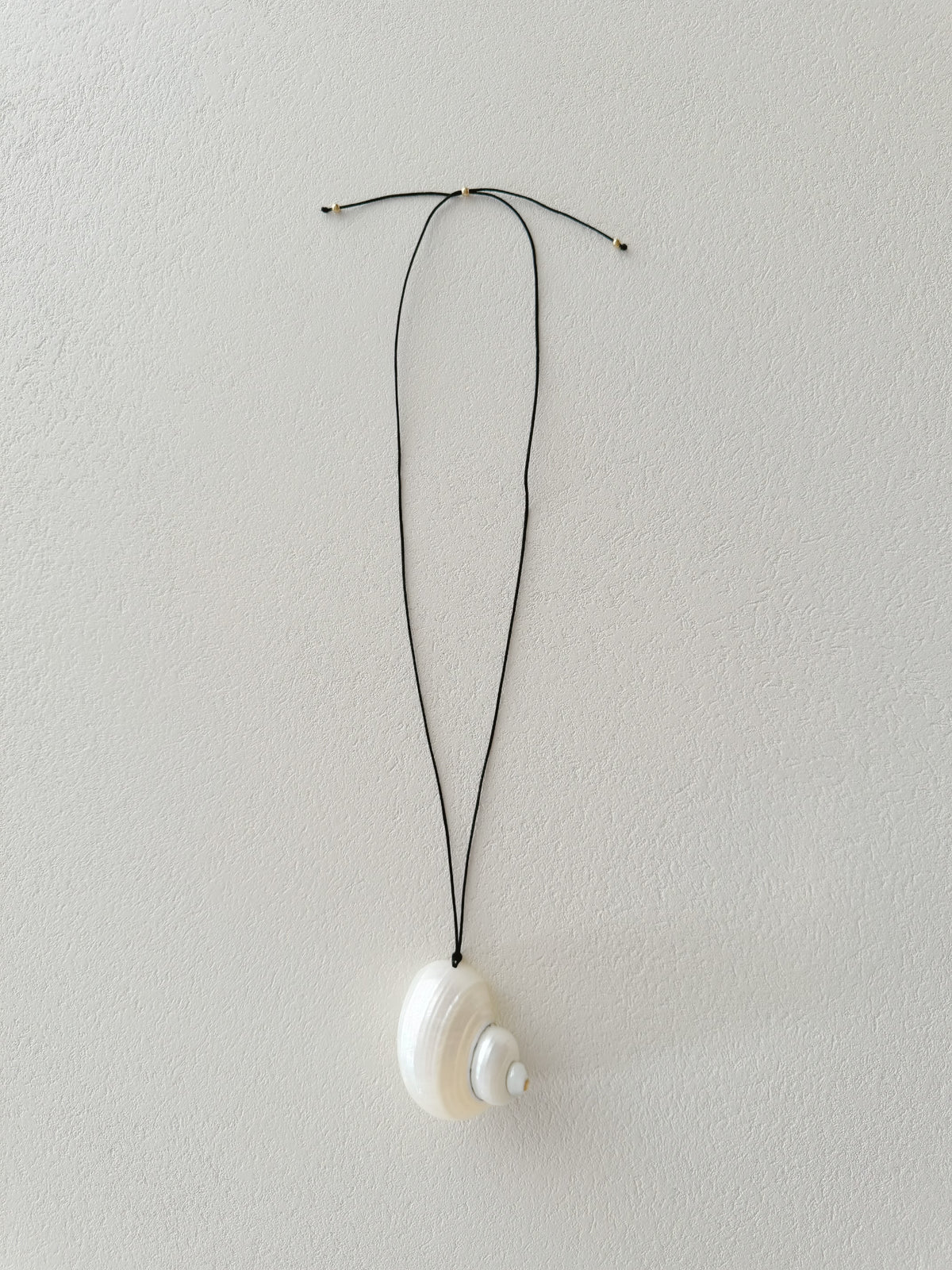 Venus Seashell Adjustable Cord Necklace