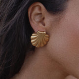 Dune Shell Earrings