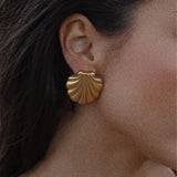 Dune Shell Earrings