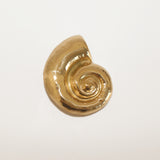 Shelly Brooch